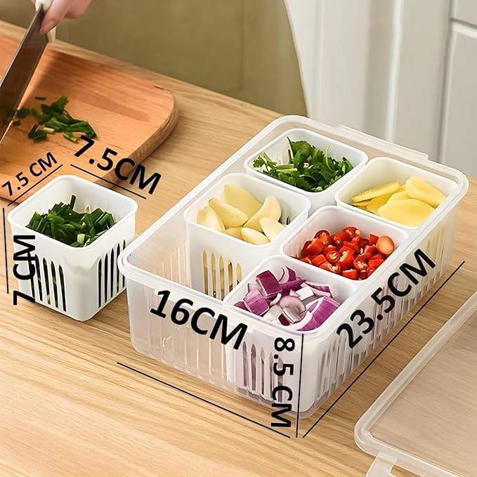 6 Section Fridge/kitchen Storage Container- Maintains Freshness g