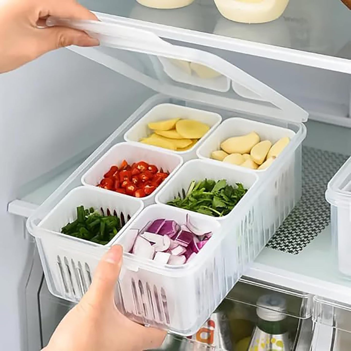 6 Section Fridge/kitchen Storage Container- Maintains Freshness g