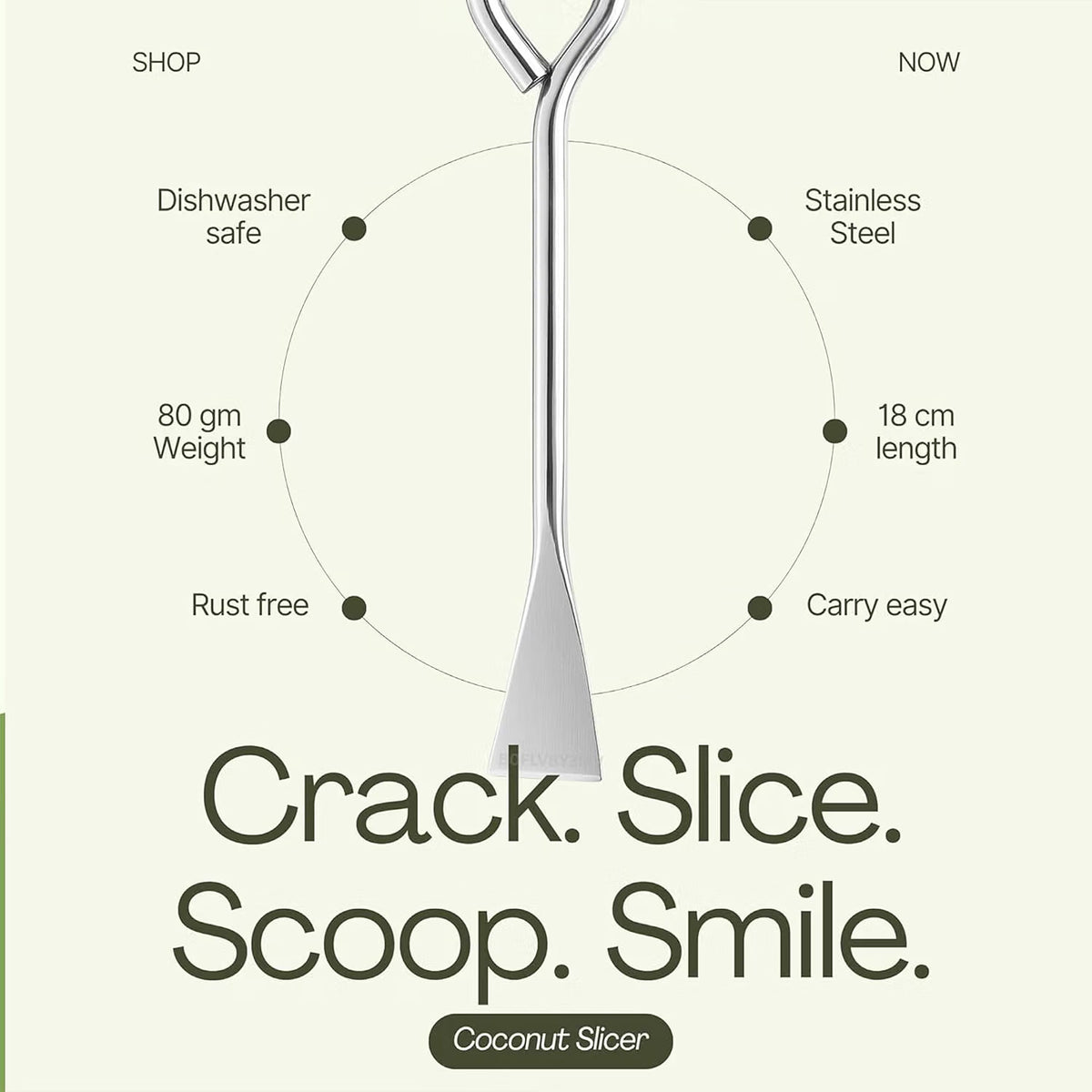 Coconut Slicer, Cutter & Remover – Stainless Steel | Coconut Core Pit Remover & Skin Peeler :g
