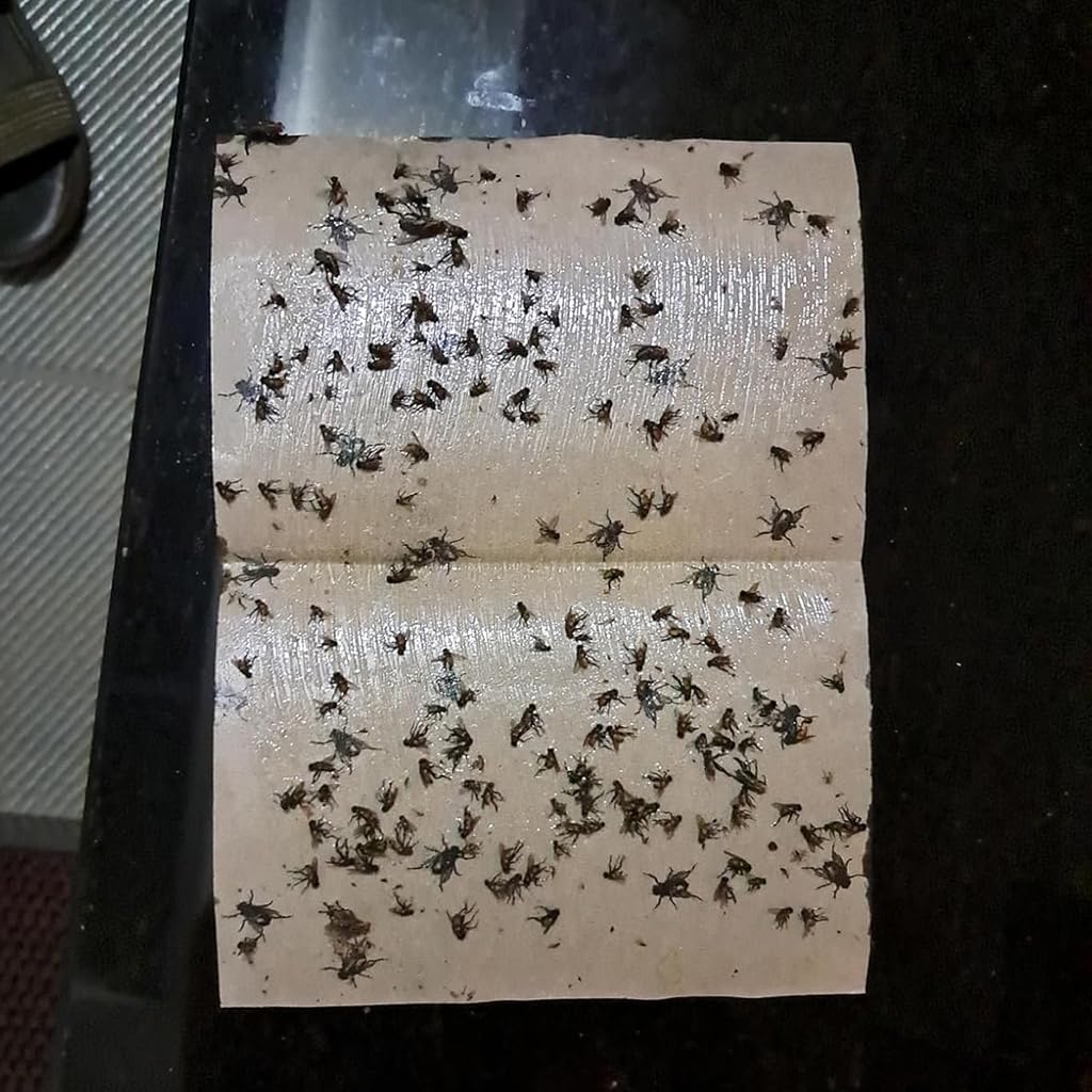 Dual-Sided Yellow Sticky Insect Traps : f