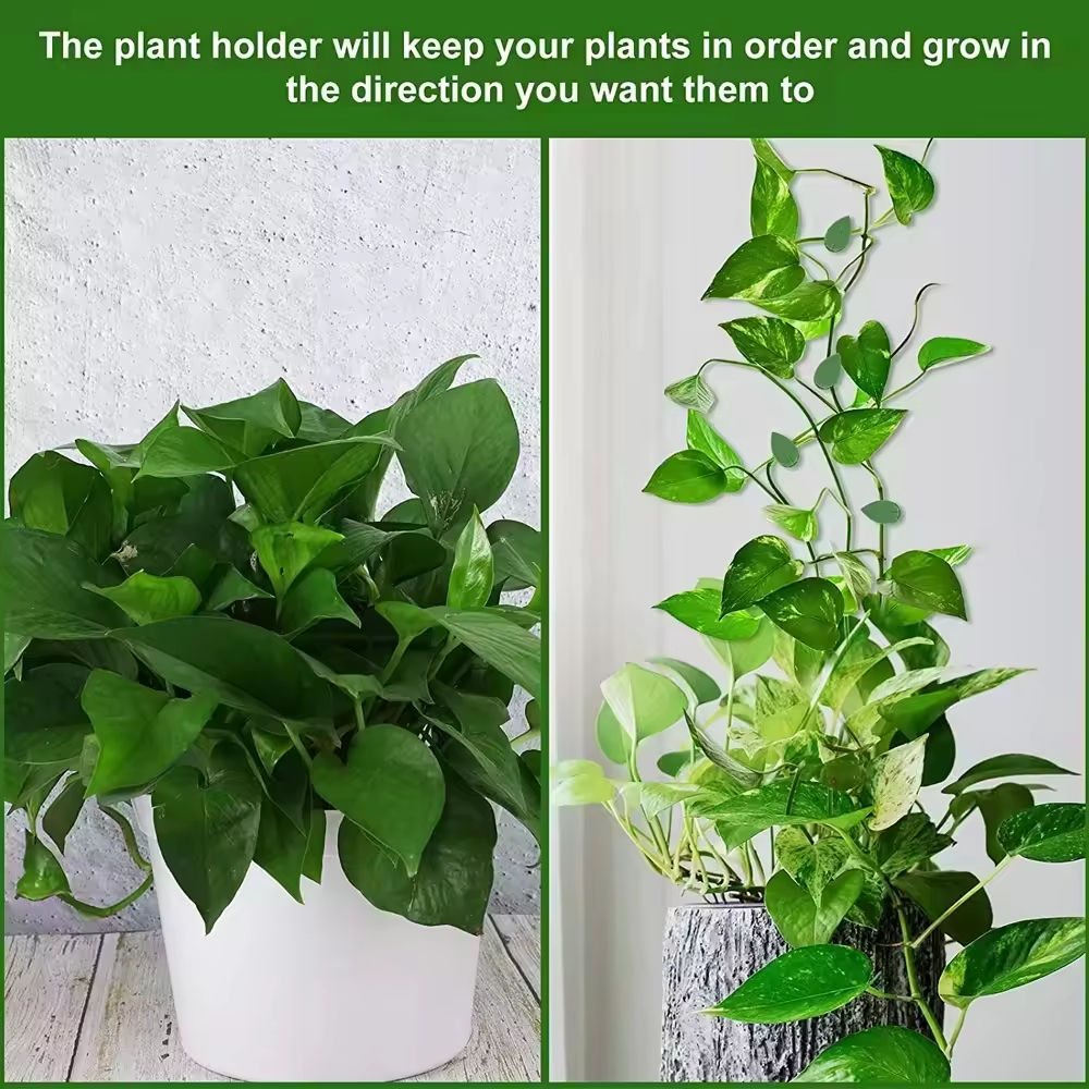Multipurpose Self-Adhesive Plant Clips – Invisible Wall Hooks for Climbing Plants, Vine Support, Cable Routing & Home Garden Decor :f