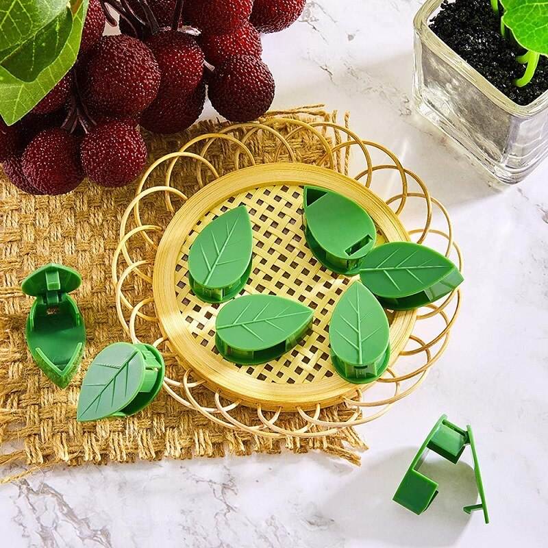 Multipurpose Self-Adhesive Plant Clips – Invisible Wall Hooks for Climbing Plants, Vine Support, Cable Routing & Home Garden Decor :f